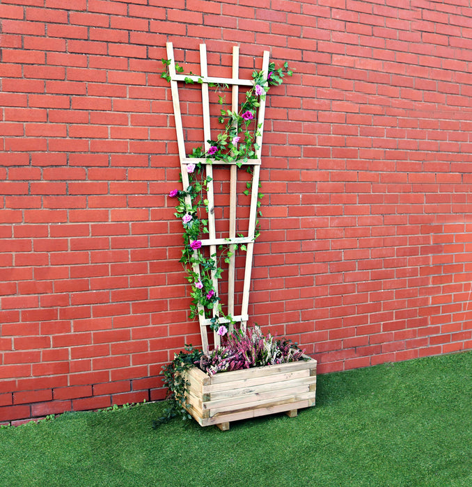 Fan Trellis