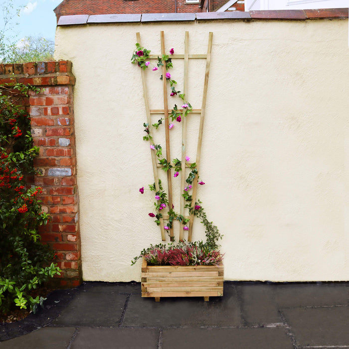 Fan Trellis