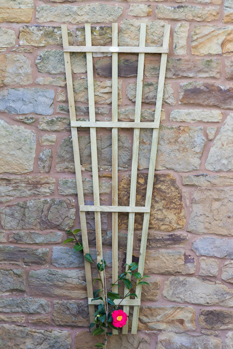 Fan Trellis