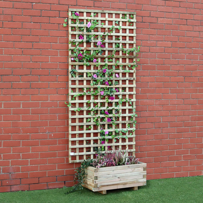 Kingston Square Trellis